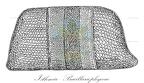 Isthmia - Bacillariophyceae