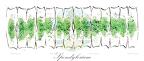 Spondylosium