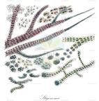 Stigonema